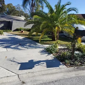 Beautiful Close To Everything Tampa